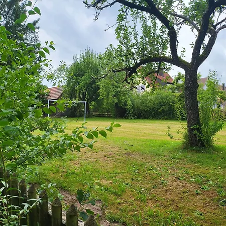 Appartamento Grosse Ruhige In Segringen, Dachterasse, Fernblick Vom Grundstueck