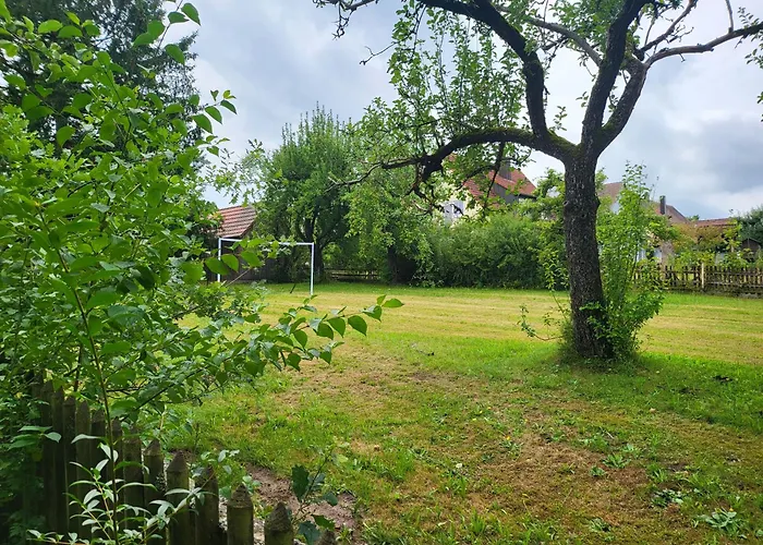 Apartment Große Ruhige In Segringen, Dachterasse, Fernblick Vom Grundstück